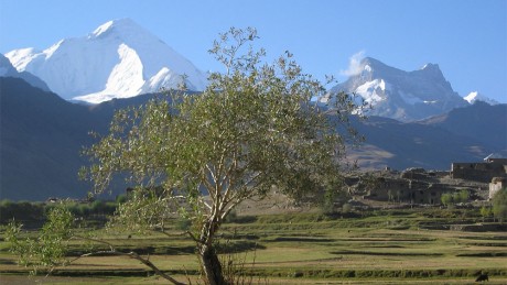The Wild Himalayas with Pangi and Zanskar Valleys